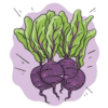 Detroit Beetroot Seeds + how-to-grow video