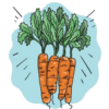 Carrot (All Year) Seeds + how-to-grow video