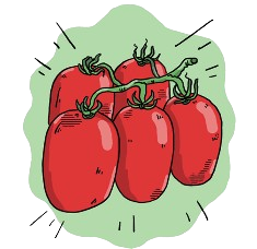 Roma Tomato