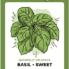 Illustration of sweet basil plant with green leaves.