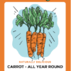 Fresh carrots graphic promoting year-round growth.
