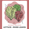 Illustration of mixed lettuce leaves, Grow It Local.