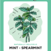 Grow it local, mint-spearmint illustration.