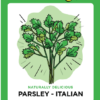Illustration of Italian parsley plant with text.