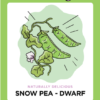 Grow it local: naturally delicious dwarf snow pea.