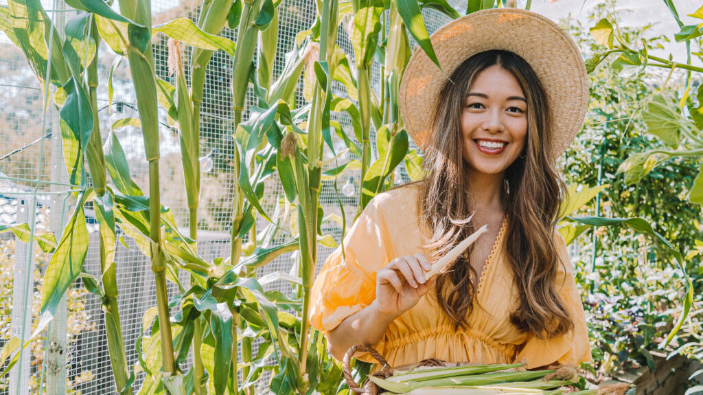 Woman smiling in corn garden, holding fresh cob.