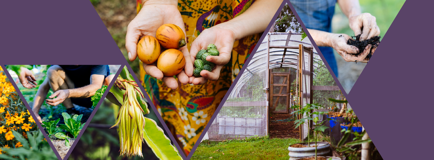 Collage of gardening, fresh produce, and a greenhouse.